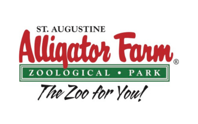 Corporate Massage Events 5 7.png